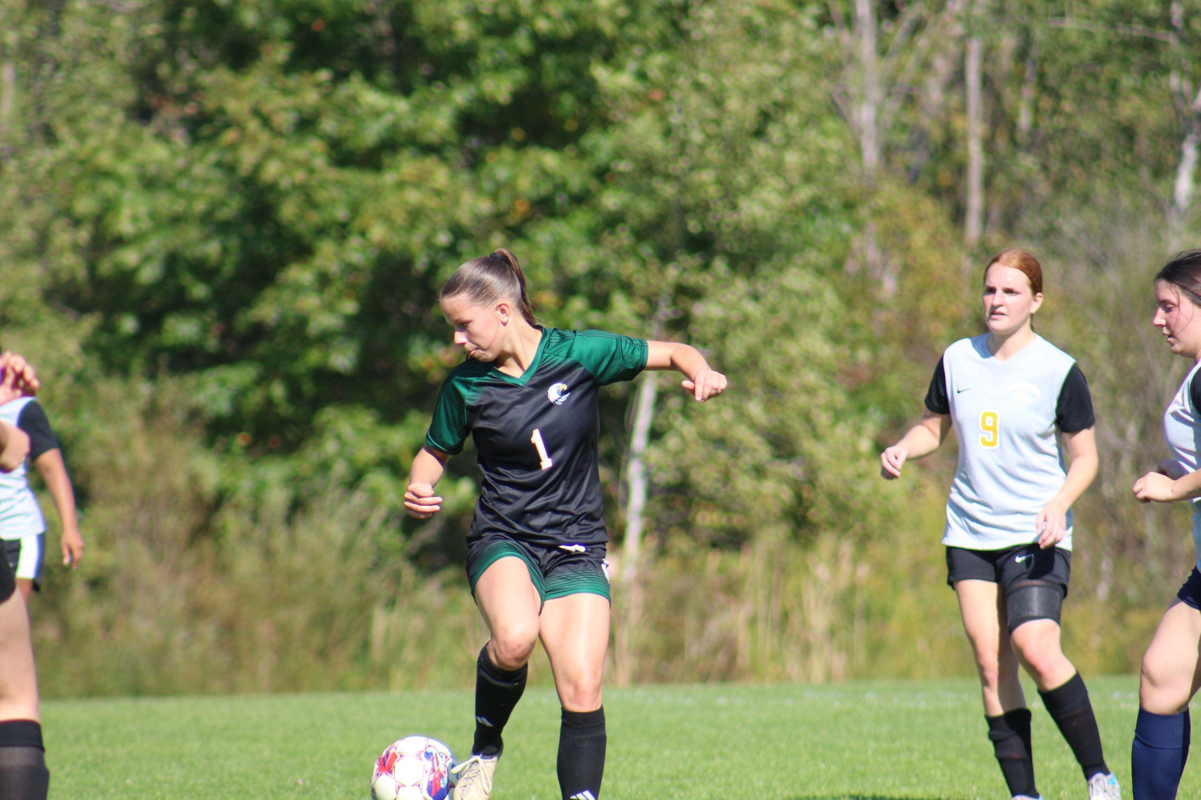 Jayhawks Caged by Lorain in 8-2 Loss
